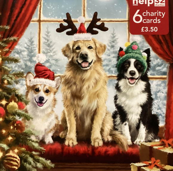 Three dogs in the window - Pack of 6 Charity Christmas cards