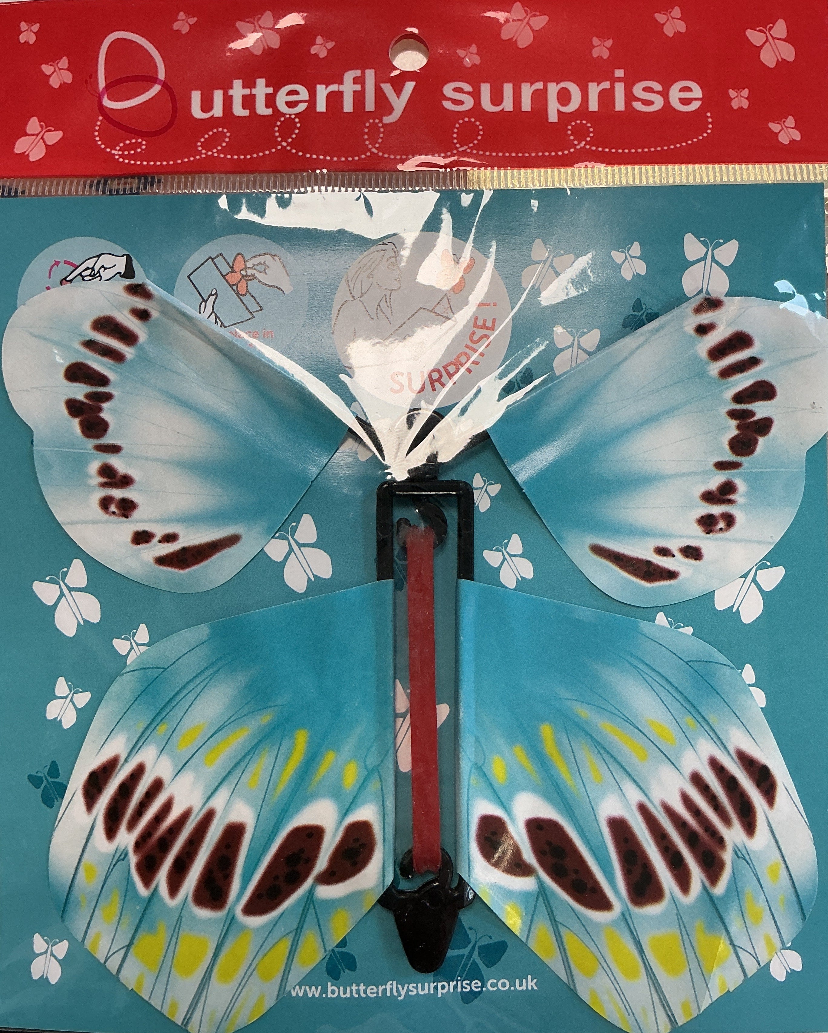 Butterfly surprise