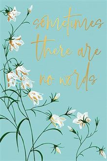 Sometimes there are no words- Thinking of you  card