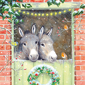 Donkeys - Box of 12 Christmas cards