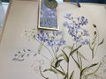 Forget me not Large Gift bag