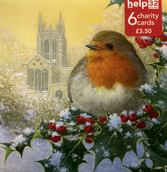 Robin and holly - Pack of 6 Charity Christmas cards