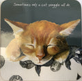 Little Dog Laughed Snuggle - Coaster