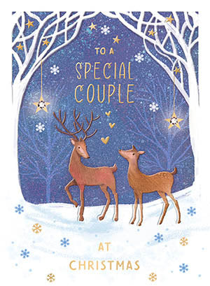 To a Special couple - Christmas card