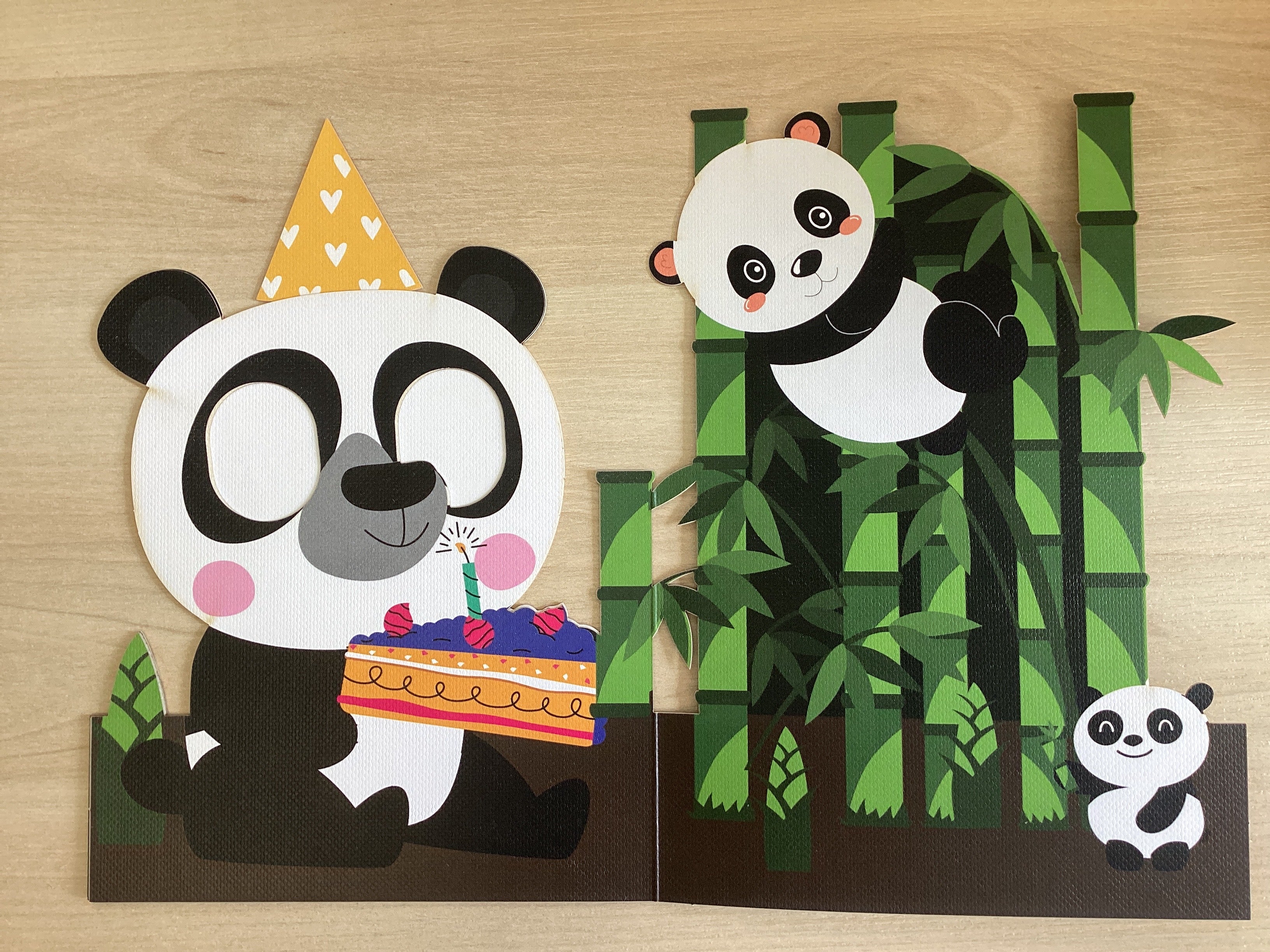 Panda - Aww So Cute