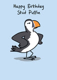 Stud puffin - funny birthday card