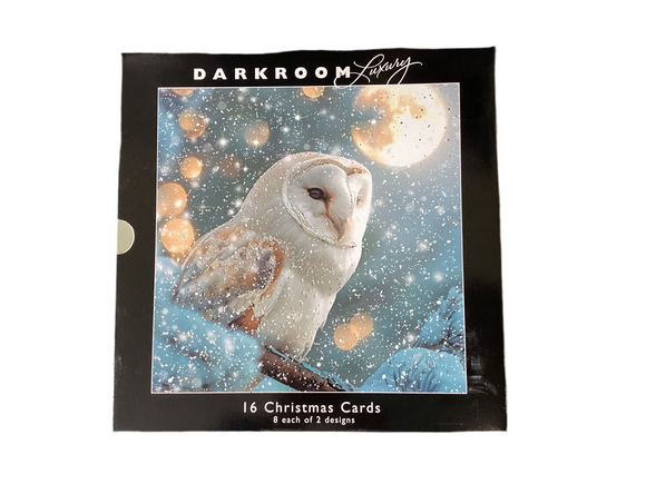 Owls - Box of 16 luxury Christmas cards