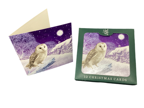 Snowy Owl - Box of 12 Christmas cards