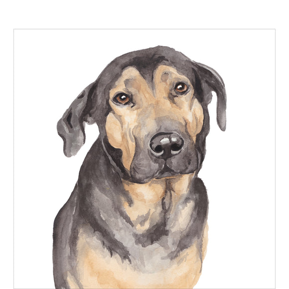 A blank greetings card decorated with a watercolour illustration of Saba, a beautiful black and brown dog.