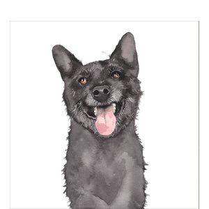 A blank greetings card decorated with a watercolour illustration of a happy black dog - with white whiskers. Alfie's ears are up and he can't keep his tongue in his mouth.