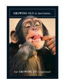 Growing old -  Birthday card