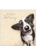 Collie dog -  Birthday card