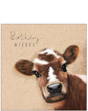 Cow - Birthday card