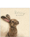 Hare -  Birthday card