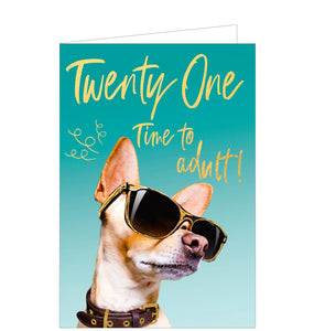 This cheeky 21st birthday card is decorated with an image of a chihuahua dog looking cool in a pair of black and gold sunglasses. Gold text on the front of the card reads "Twenty One...Time to adult!"