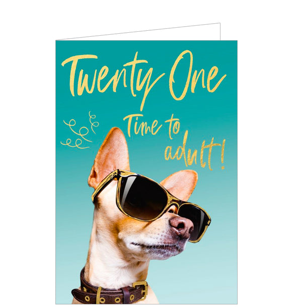 This cheeky 21st birthday card is decorated with an image of a chihuahua dog looking cool in a pair of black and gold sunglasses. Gold text on the front of the card reads 