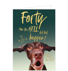 This cheeky 40th birthday card is decorated with an image of a shocked looking brown labrador dog. Gold text on the front of the card reads "Forty...how the HELL did that happen?"
