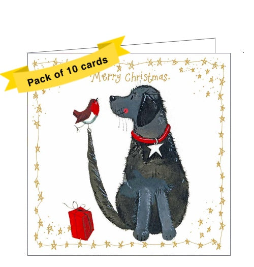 This pack of Alex Clark Christmas cards features 10 christmas cards of 1 design, showing a black labrador dog, with a robin balancing on its tail. Gold text on the front of the cards reads 