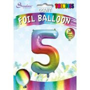 5 - Large multi-coloured Helium-Filled Balloon