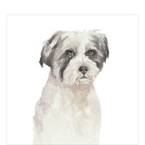 A blank greetings card decorated with a watercolour illustration of  Bella, a black and white dog.