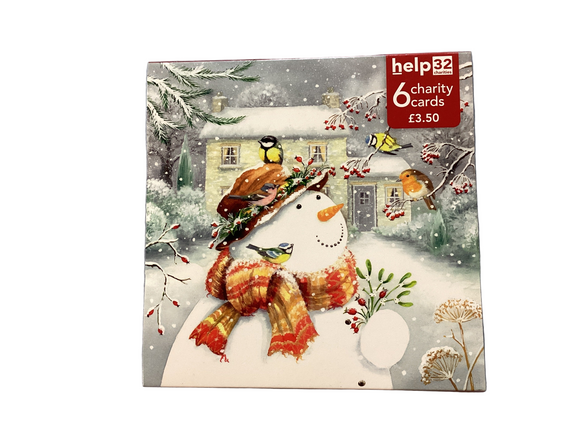 Snowman and Robin - Pack of 6 Charity Christmas cards