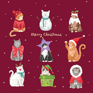 Christmas cats - Box of 12 Christmas cards