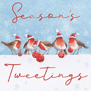 Robins - Pack of 6 Charity Christmas cards