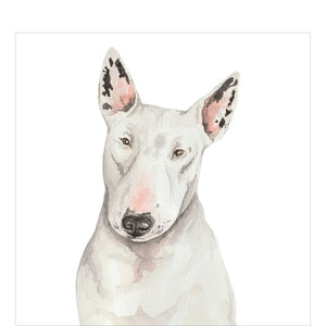 his blank greetings card is decorated with an illustration of Daisy, an English Bull Terrier dog. Daisy is mostly white with pink and grey in her ears, and looks towards the viewer.