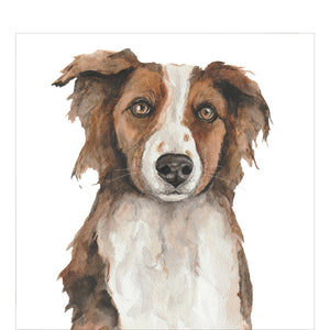 This blank greetings card is decorated with a watercolour illustration of Precious, a red and white border collie dog