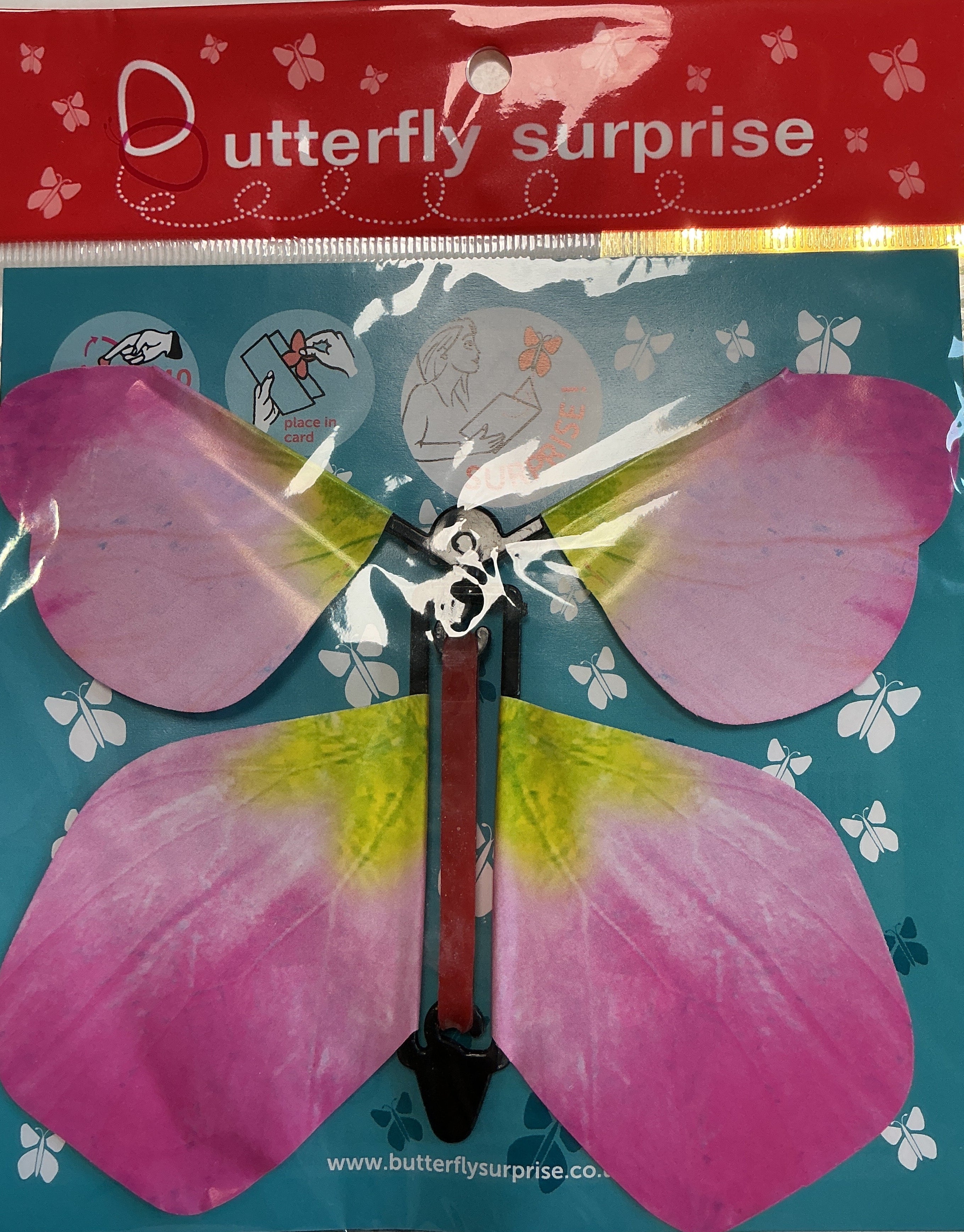 Butterfly surprise