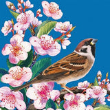 Sparrow and cherry blossom - blank greetings card
