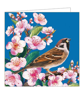 This beautiful blank greetings card is covered with detail from an artwork by Jill White showing a bird perched on a branch of cherry blossom.