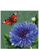Cornflower & butterfly - blank greetings card
