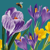 Crocus and bee - blank greetings card