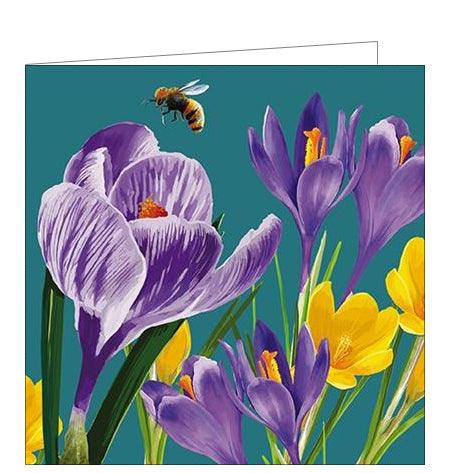 This beautiful blank greetings card is covered with detail from an artwork by Jill White showing a bee buzzing around purple and yellow crocus flowers.