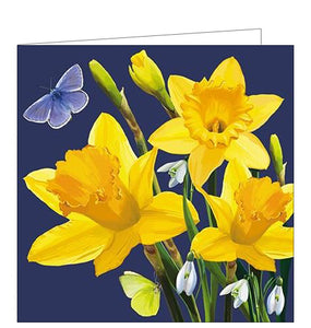 This beautiful blank greetings card is covered with detail from an artwork by Jill White showing a blue butterfly taking off from a daffodil.