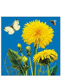 Dandelions - blank greetings card