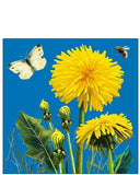 Dandelions - blank greetings card