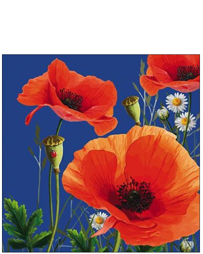 Red Poppies - blank greetings card