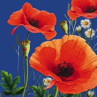 Red Poppies - Blank Card