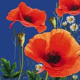 Red Poppies - blank greetings card