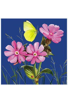 Pink flower heads - blank greetings card