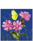 Pink flower heads - blank greetings card