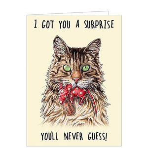 This funny birthday card from the Bewilderbeest range is decorated with an illustration of a  cat holding a gift-wrapped, mouse-shaped present in its mouth. The text on the front of the card reads "I got you a surprise, you'll never guess!"
