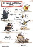 Bird songs for your Birthday card