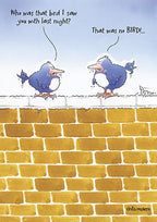 That was no bird! - Birthday card