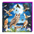 Birds of Prey