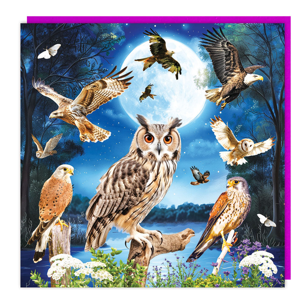 Birds of Prey