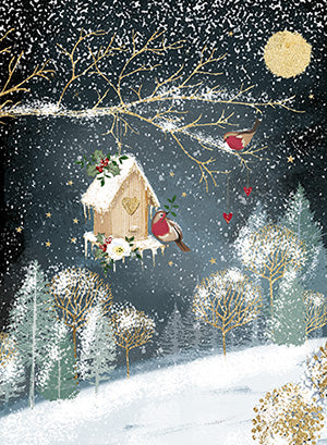 Robins at bird house - Pack of 8 Charity Christmas cards