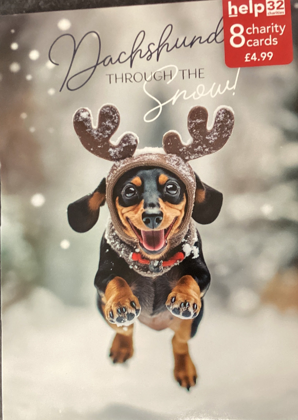 Dachshund through the snow - Pack of 8 Charity Christmas cards